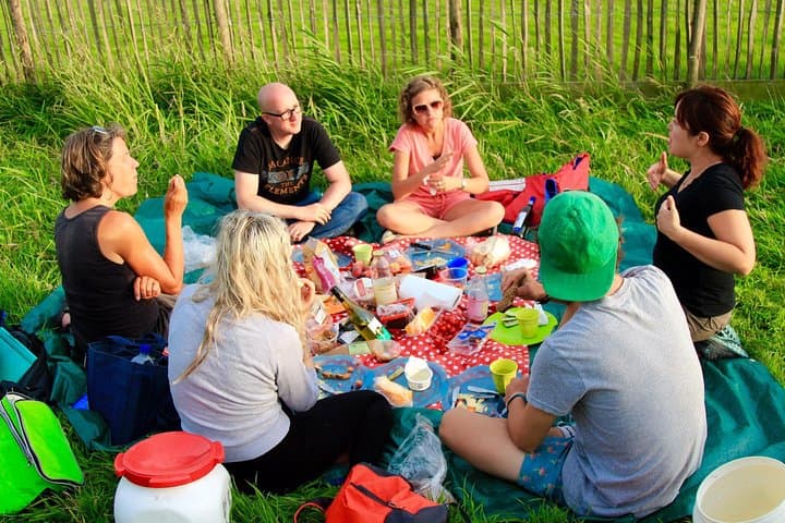 Sunset Canoe Tour in Waterland: Polders, Windmills & Lakeside Dinner photo 4