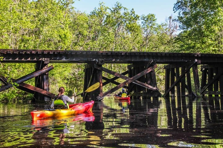 Lofton Creek Kayak Tour — Amelia Island's Blackwater Paddle through Forested Wetlands photo 4