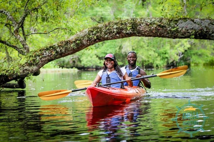 Lofton Creek Kayak Tour — Amelia Island's Blackwater Paddle through Forested Wetlands photo 5