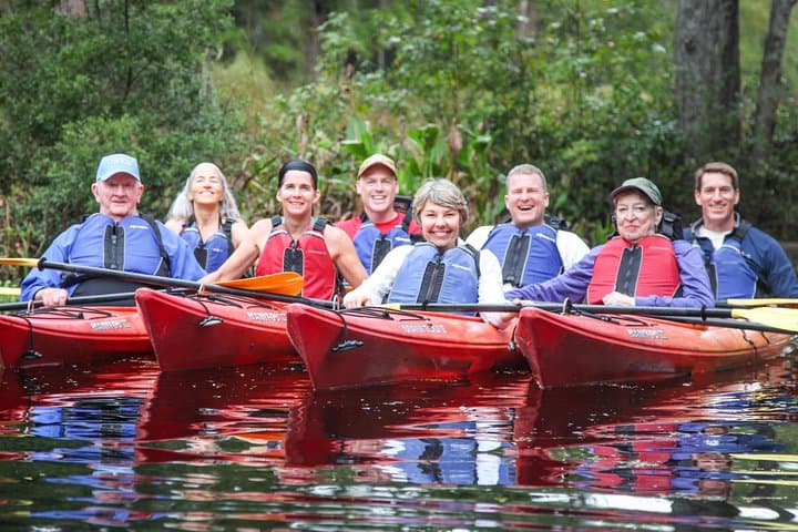 Lofton Creek Kayak Tour — Amelia Island's Blackwater Paddle through Forested Wetlands photo 6