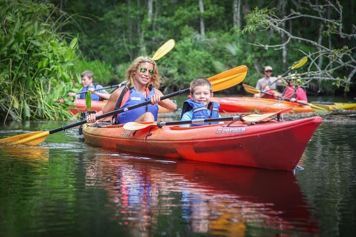 Lofton Creek Kayak Tour — Amelia Island's Blackwater Paddle through Forested Wetlands photo 2