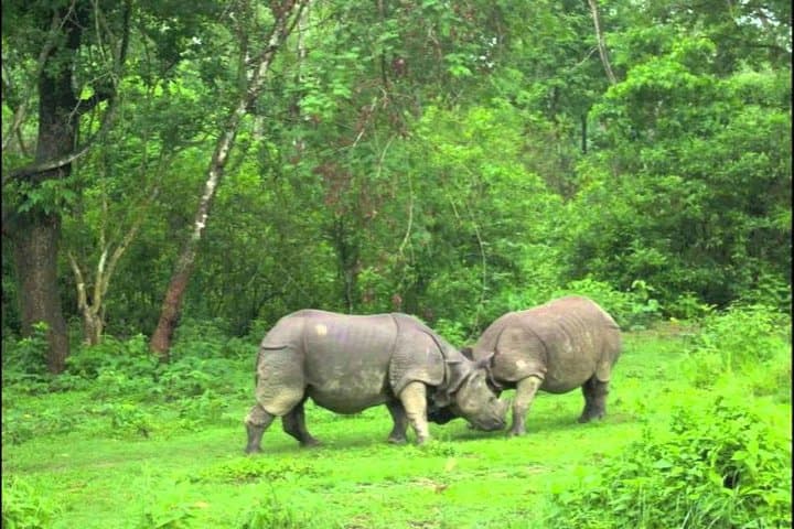 Annapurna Sunrise Trek and Chitwan Wildlife Safari: Mountains, Culture & Rhinos photo 6