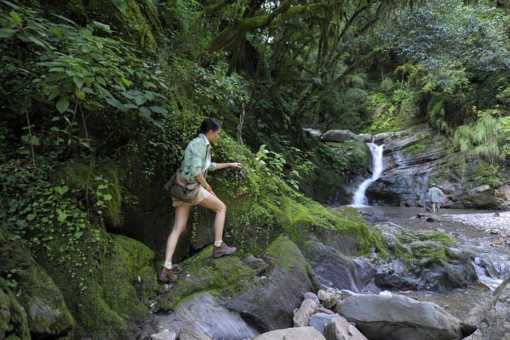 Yungas & El Rey National Park 4x4 Day Tour from Salta — Rivers, River Otters and Montane Jungle
