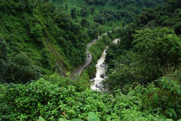 Yungas & El Rey National Park 4x4 Day Tour from Salta — Rivers, River Otters and Montane Jungle photo 5