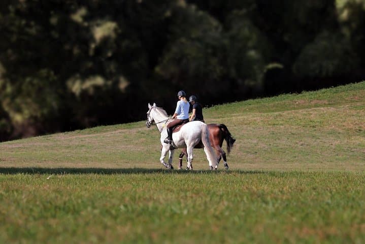 Torgiano Olive Oil & Wine Museum Day Trip with Winery Lunch and Horseback Ride