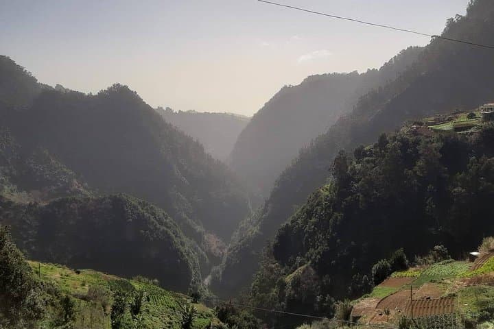 Private Jardim da Serra Half-Day Tour from Funchal — Boca dos Namorados & Nun's Valley Views photo 4