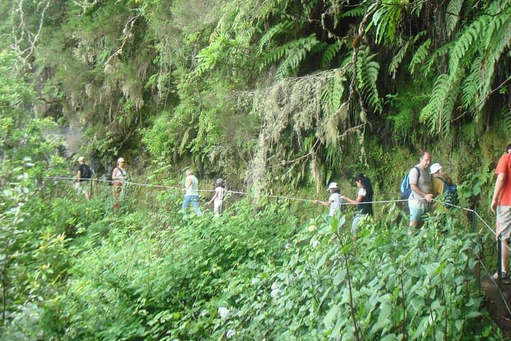 Caldeirão Verde Levada Walk — Queimadas to the 100m Waterfall in Madeira photo 3
