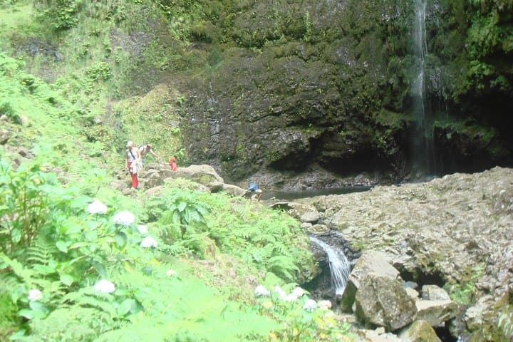 Caldeirão Verde Levada Walk — Queimadas to the 100m Waterfall in Madeira photo 4