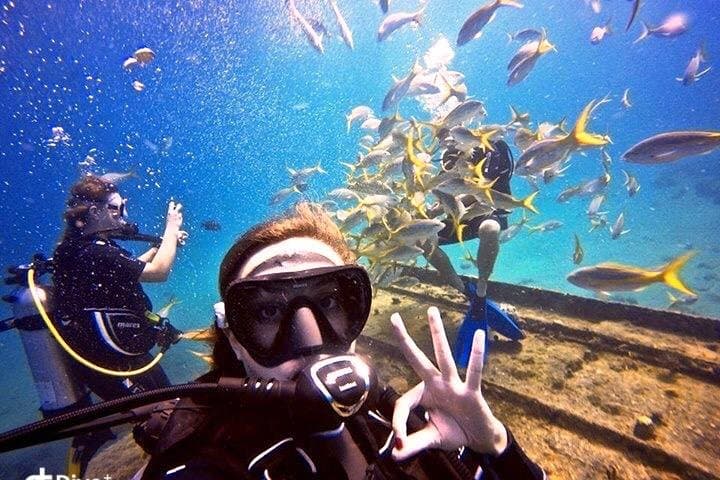 Private Half-Day Dive Charter — St. Thomas, USVI | Exclusive Boat Dive photo 2