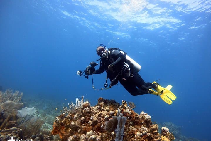 Private Half-Day Dive Charter — St. Thomas, USVI | Exclusive Boat Dive photo 5