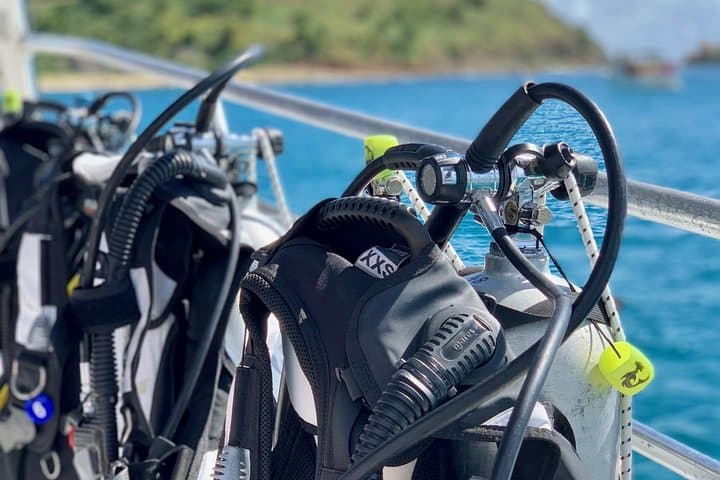Private Half-Day Dive Charter — St. Thomas, USVI | Exclusive Boat Dive photo 6