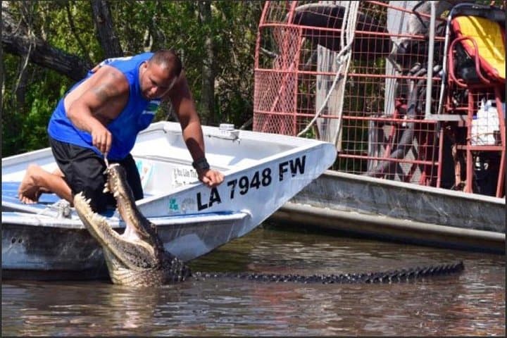 Private Airboat Swamp Tour From New Orleans: Party-Friendly Gator Encounters photo 1