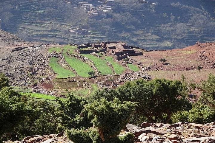 Day Hike to Tawdja (Assaouel) Summit — Atlas Mountains from Marrakech photo 4