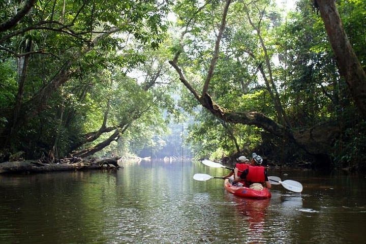 Sea Canoeing Phang Nga Bay: Full-Day Speed-Boat & Cave Canoe Tour from Phuket photo 3
