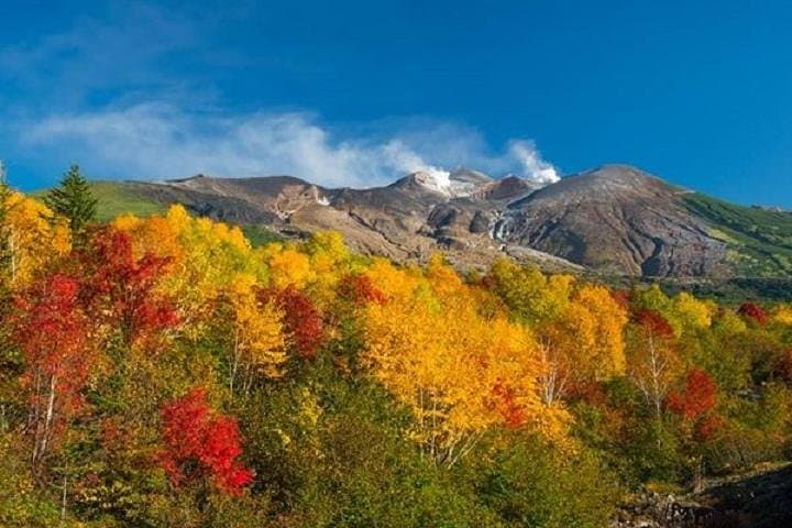 Lake Toya & Noboribetsu Hell Valley Private Day Trip from Sapporo photo 5