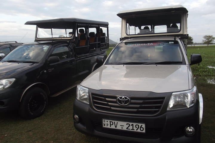 Early-Morning Yala Leopard Safari: Dawn Drive in Yala National Park photo 4