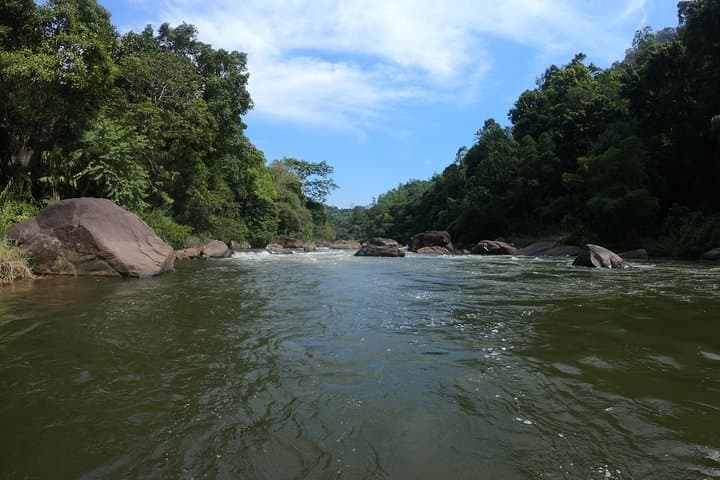 Kelani River White-Water Rafting from Bentota — Kitulgala Day Trip photo 3