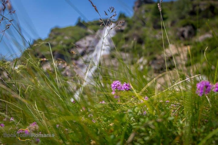 Drive the Transfăgărășan: One-Day Private Road Trip from Bucharest photo 4