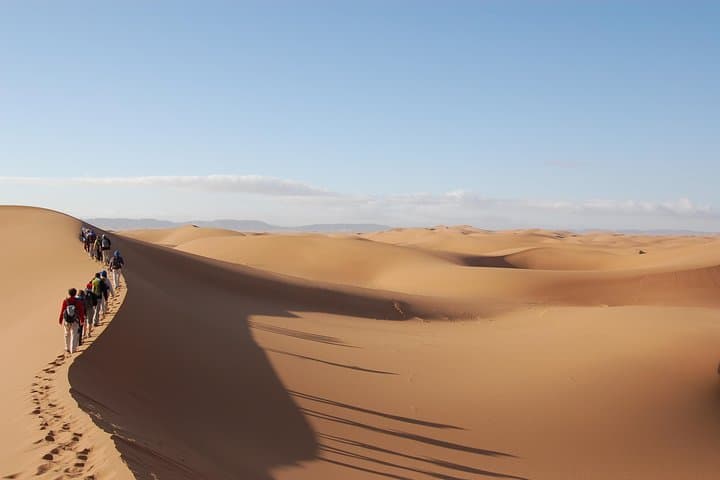 Abu Dhabi Quad Bike Desert Safari: Dune Bashing, Camel Farm & Bedouin Camp photo 3