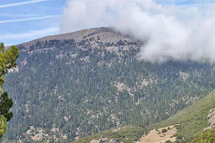 Full-Day Jbel Lakraa Summit Hike in Talassemtane National Park