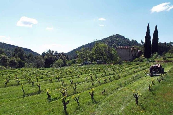 Grape Escape Cycling Tour Costa Dorada — Montsant Vineyard Bike & Wine Tasting photo 3
