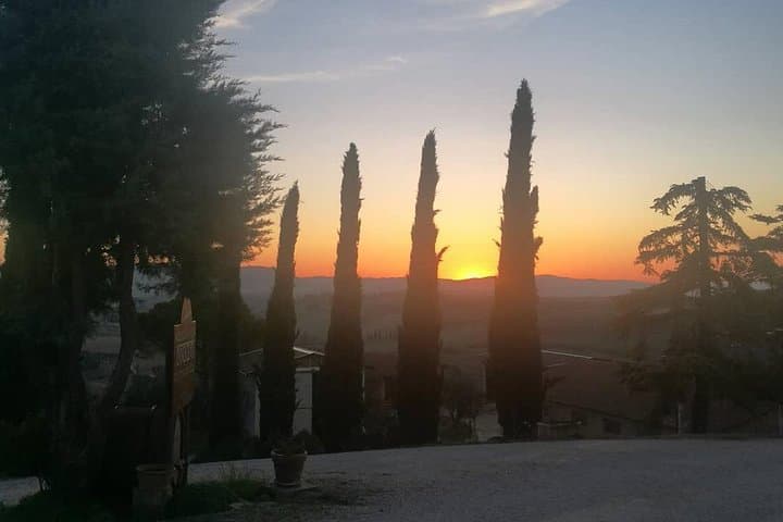 Brunello Wine Tour and Val d'Orcia Landscape — Private Tuscan Winery Experience