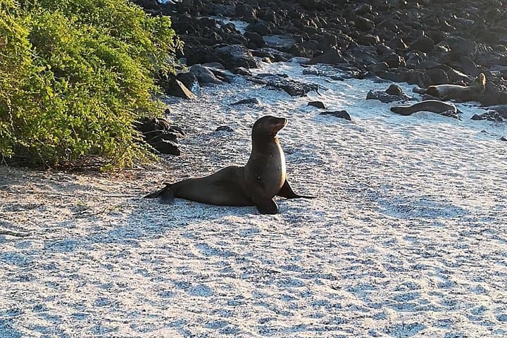 San Cristobal in Five Days: Kicker Rock, Lobos Island & The Highlands photo 5