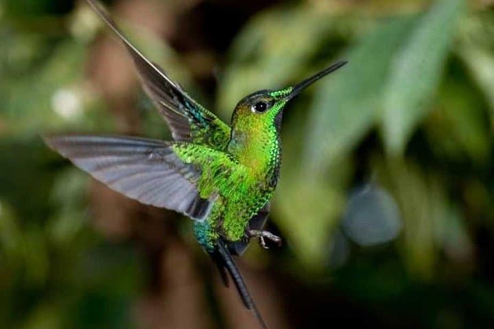 Quito Private Airport Transfer — Mariscal Sucre Pickup & Drop-off photo 5