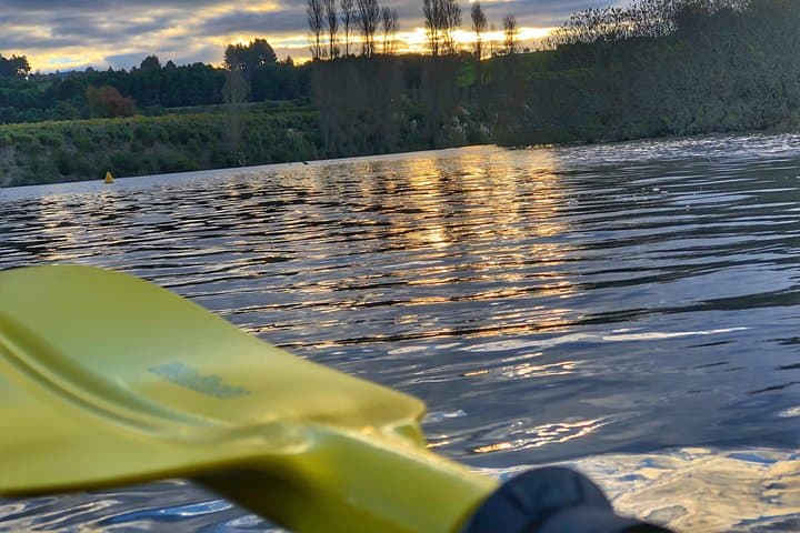 Twilight Glowworm Kayak Tour on Lake Karapiro: Paddle Through a Living Nightlight photo 2