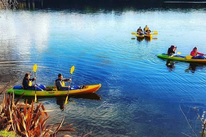 Twilight Glowworm Kayak Tour on Lake Karapiro: Paddle Through a Living Nightlight photo 4