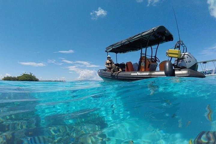 Bora Bora Lagoon Snorkeling Tour: Manta Rays, Coral & Whale-Season Encounters