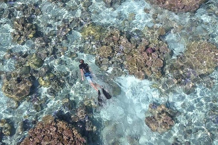 Bora Bora Lagoon Snorkeling Tour: Manta Rays, Coral & Whale-Season Encounters photo 5