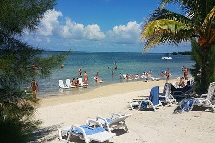 Roatan Buggy Adventure to Monkey & Sloth Park with Beach Pass and Private Transfer photo 3