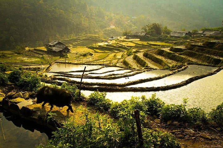 Two-Day Sapa Trek: Ta Van, Lao Chai & Cat Cat Villages photo 6