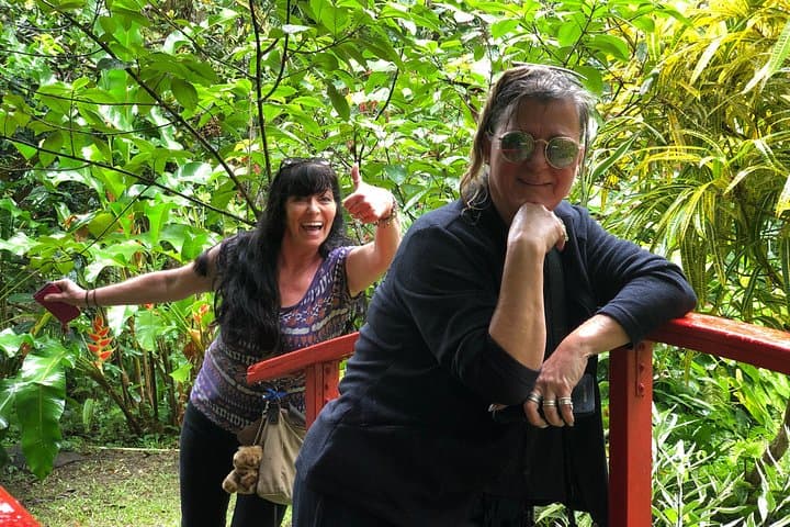 St. Lucia Cruise Shore Excursions: Sulphur Springs, Botanical Gardens & Waterfall Tour photo 2
