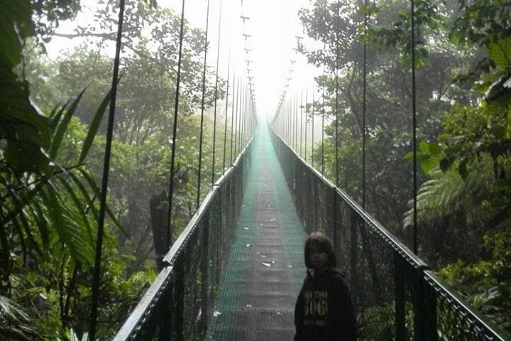 Monteverde Cloud Forest Hanging Bridges: Treetop Naturalist Tour