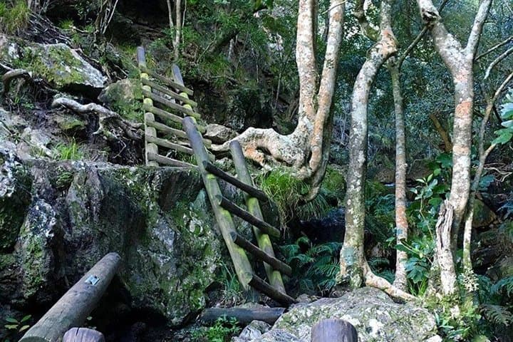 Skeleton Gorge Sunrise Hike — Table Mountain via Kirstenbosch photo 2