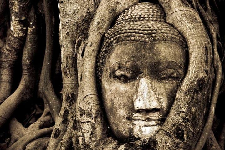 Ayutthaya Temples & Chao Phraya River Cruise: Full-Day Guided Tour from Bangkok photo 5