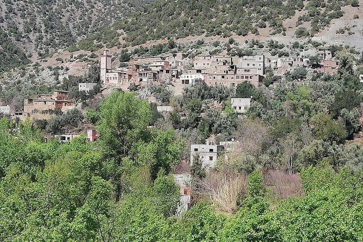 Ourika Valley Day Trip from Marrakech: Waterfalls, Berber Culture & Argan Cooperatives photo 4
