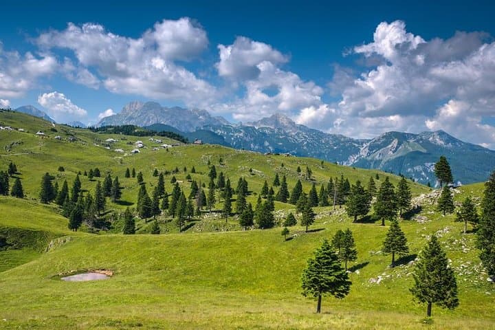 Velika Planina & Kamnik Day Tour from Bled: Alp Pastures, Gondola Rides & Village History