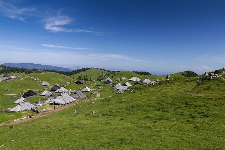 Velika Planina & Kamnik Day Tour from Bled: Alp Pastures, Gondola Rides & Village History photo 2