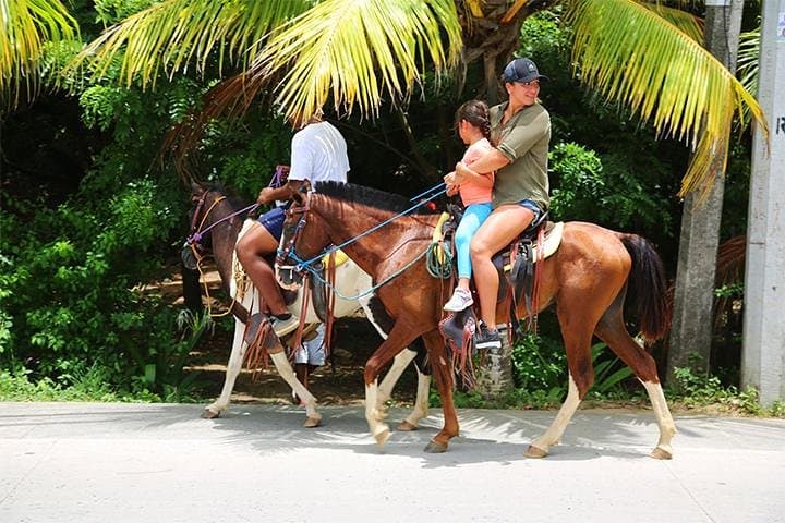 Roatan Beach Horseback Ride: South-Side Sights, West End Village & Beach Break photo 3