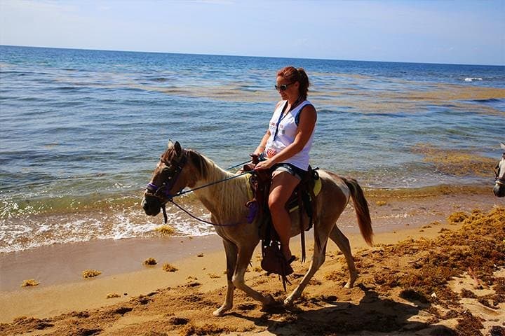 Roatan Beach Horseback Ride: South-Side Sights, West End Village & Beach Break photo 6