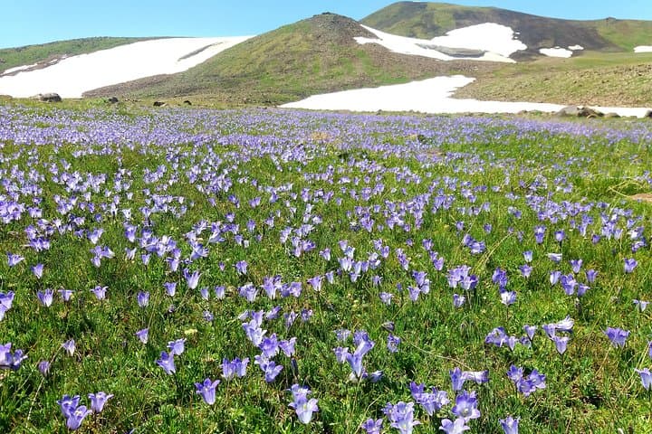Jeeping and Summit Trek: Azhdahak Mountain Day Tour from Yerevan photo 4