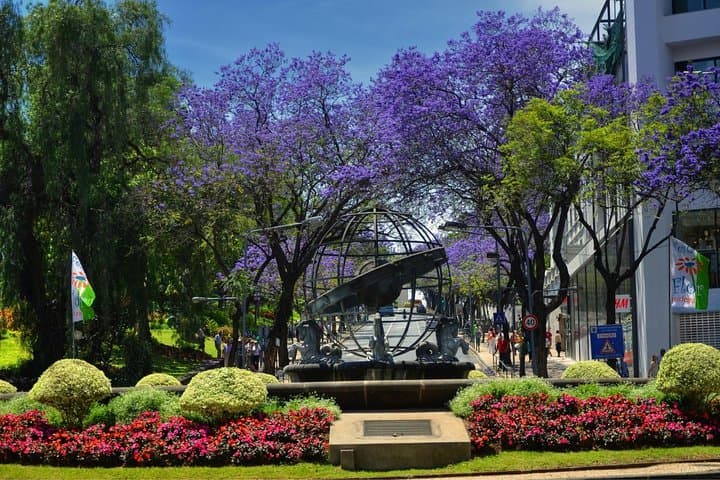 Private Funchal Tukxi City Tour: 90-Minute Historic Highlights photo 3