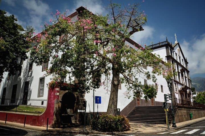 Private Funchal Tukxi City Tour: 90-Minute Historic Highlights photo 4