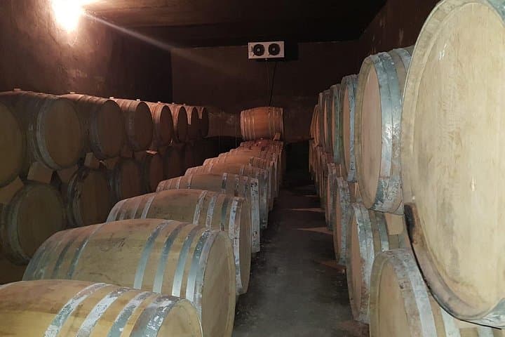 Vayots Dzor Wine Tour from Yerevan — Noravank, Areni Cave & Vineyard Tastings photo 4