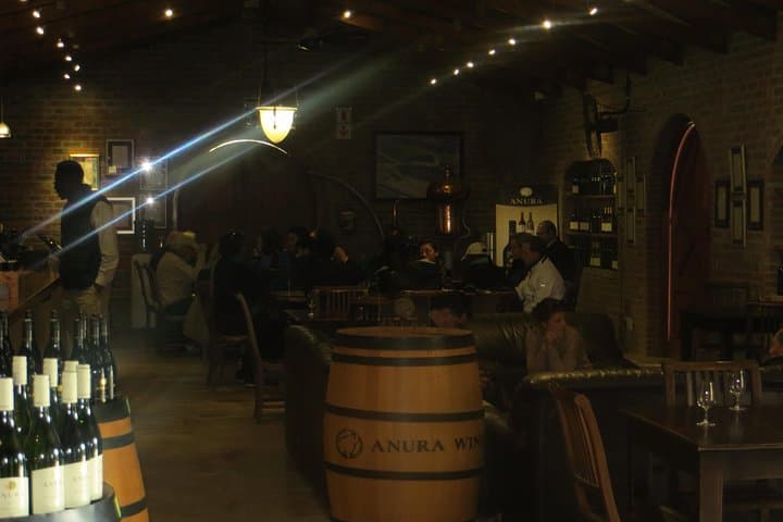 Cape Winelands Day Tour: Stellenbosch, Franschhoek & Paarl Wine Tasting photo 3