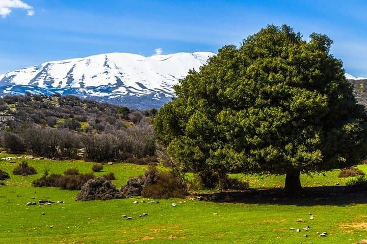 Samaria Gorge: Long Way from Rethymno — 16km Hike through Crete’s White Mountains photo 4