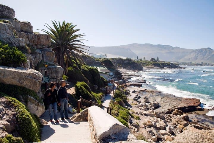 Land-Based Whale Watching in Hermanus — Southern Right Whales & Cliff Path Views photo 2